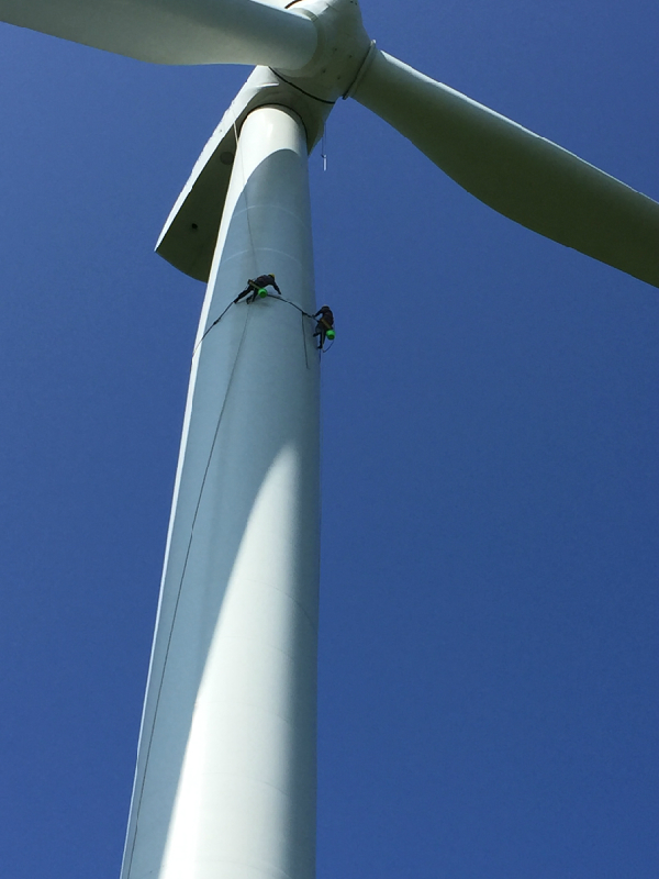 煙囪美化公司如何提升居家氛圍？